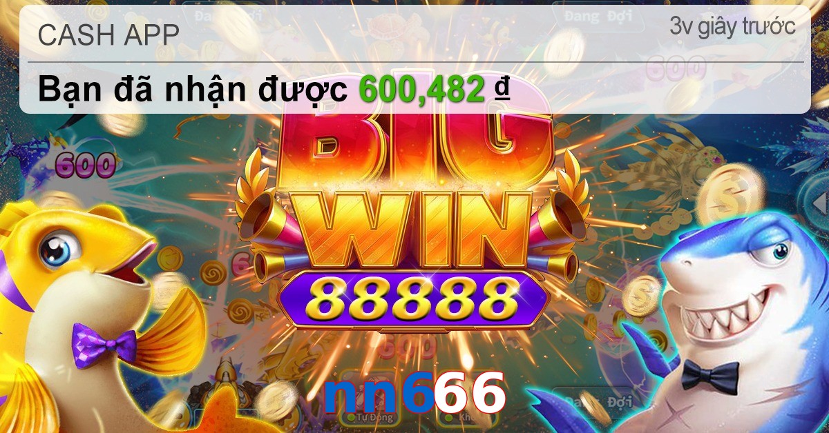 nn666